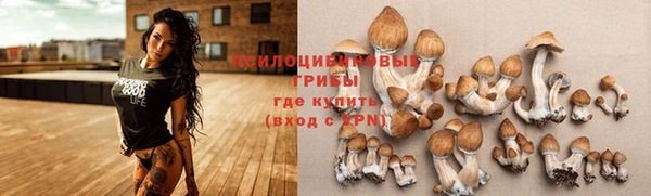 дживик Долгопрудный