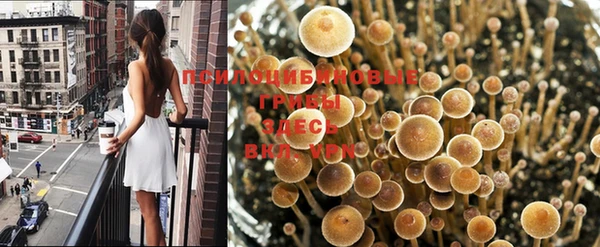 стафф Михайловка