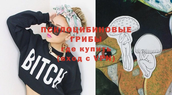 соль ск Михайлов