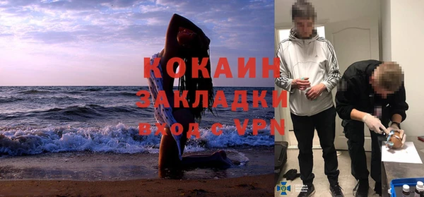 соль ск Михайлов