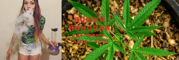 стафф Михайловка