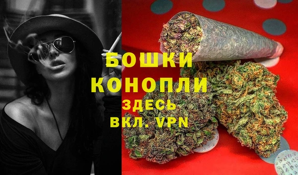 соль ск Михайлов