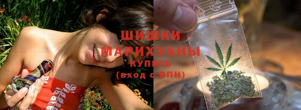 дживик Долгопрудный