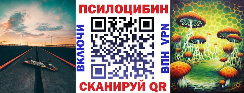 Псилоцибиновые грибы Psilocybine cubensis кракен сайт Асино