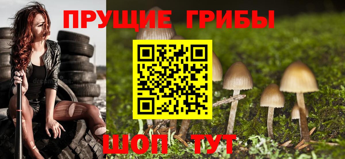 Асино  Псилоцибиновые грибы мухоморы  Вход с VPN 