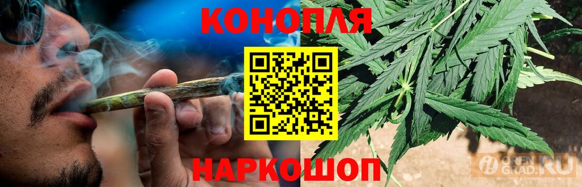 Каннабис конопля Асино